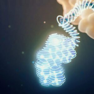 B Capital Why We Invested: Solve Therapeutics